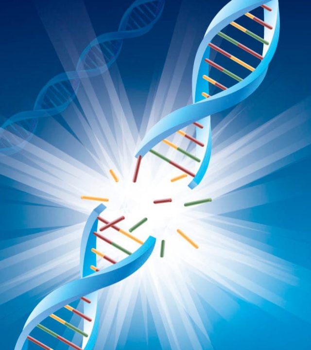 uv lamba ışını dna moleküler kırılması hakkımızda